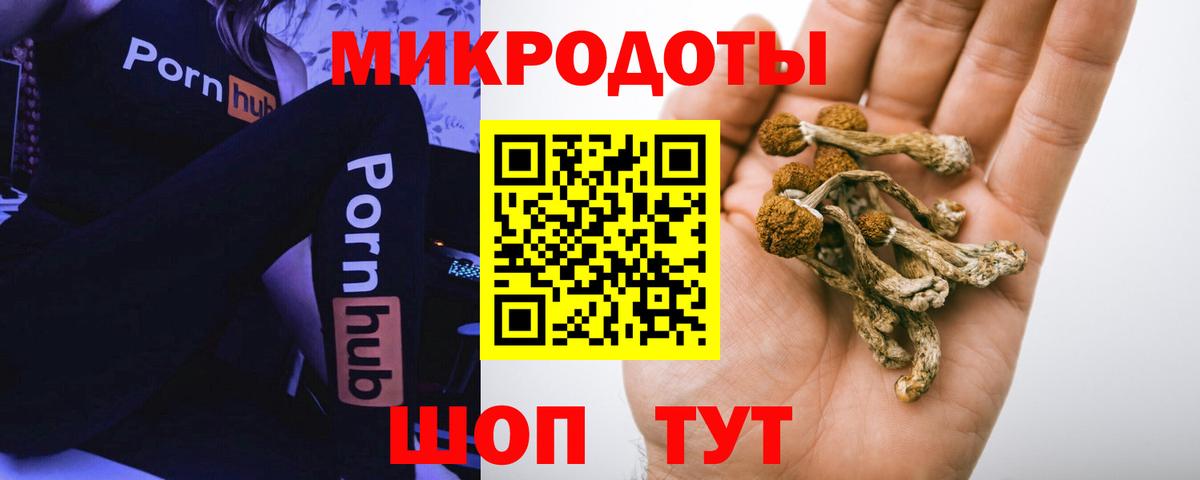 Псилоцибиновые грибы Psilocybe  Вход с VPN  Сокол 